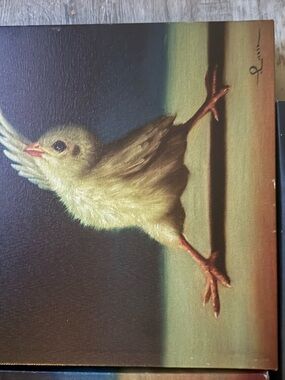 Yellow Chick Canvas Art Print - Unsigned